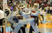 Yıldızlar Taekwondo şampiyonası 2016